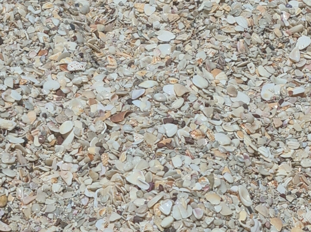 Costa Rica Unique Transfers and Tours-利比里亚必去景点