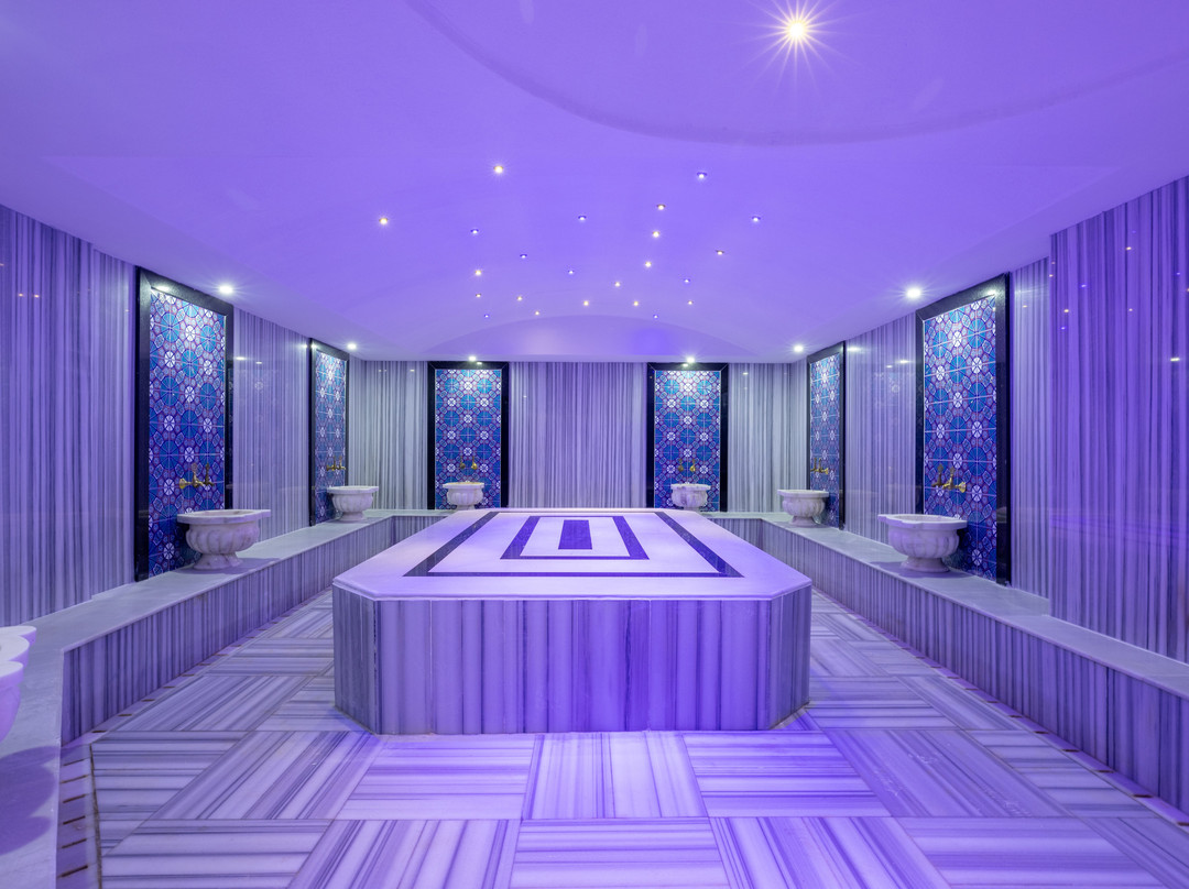 Minerva Hotel