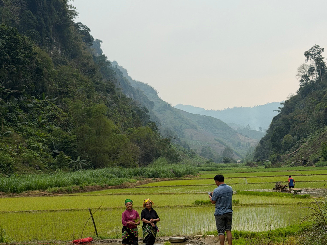 Ba Be Jungle Houses主图