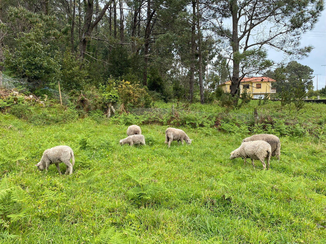Santiago Ways-桑坦德必去景点