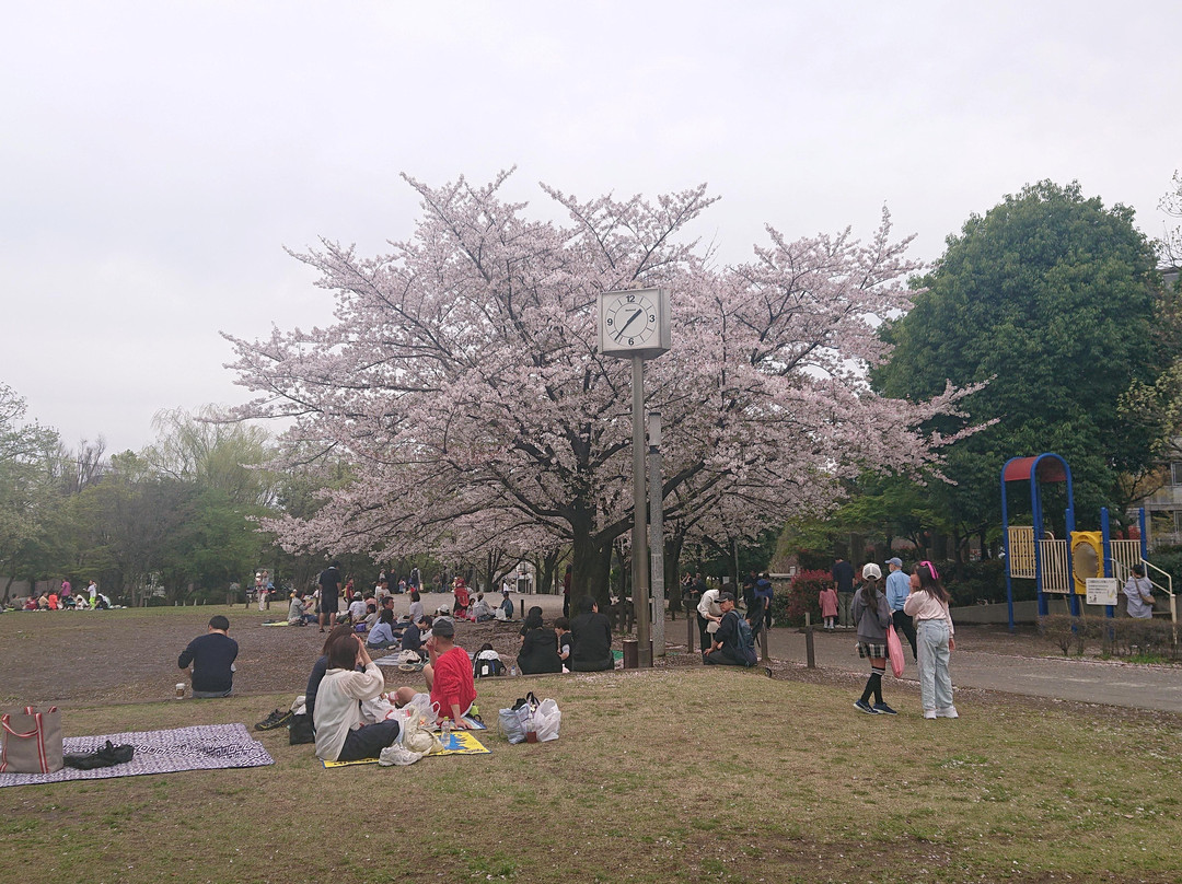 Meguro Persimmon Hall-目黒区必去景点
