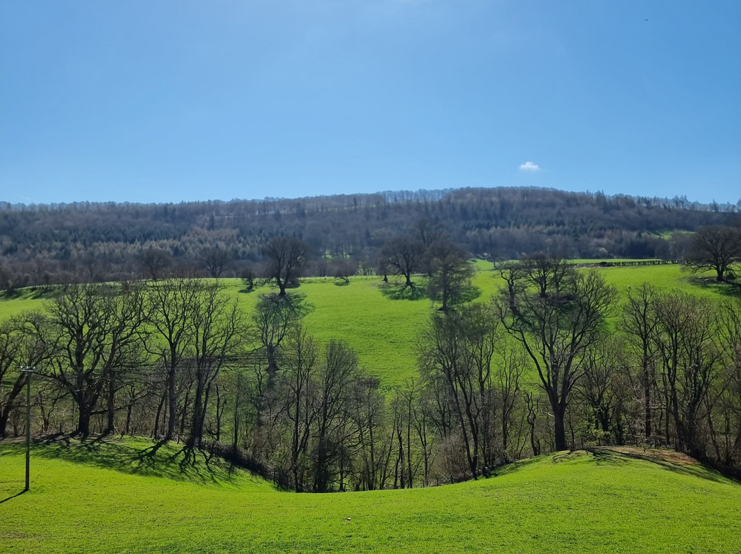 Welshpool and Llanfair Light Railway-Welshpool必去景点