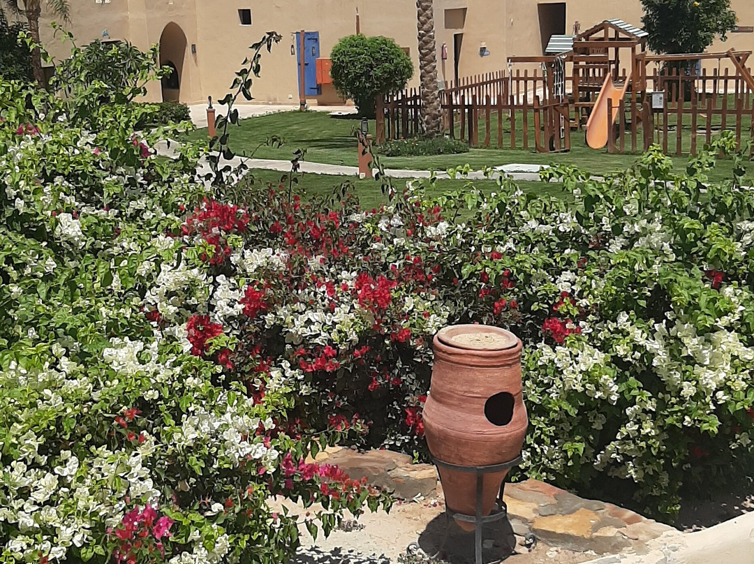 加利卜港滨海旅舍主图