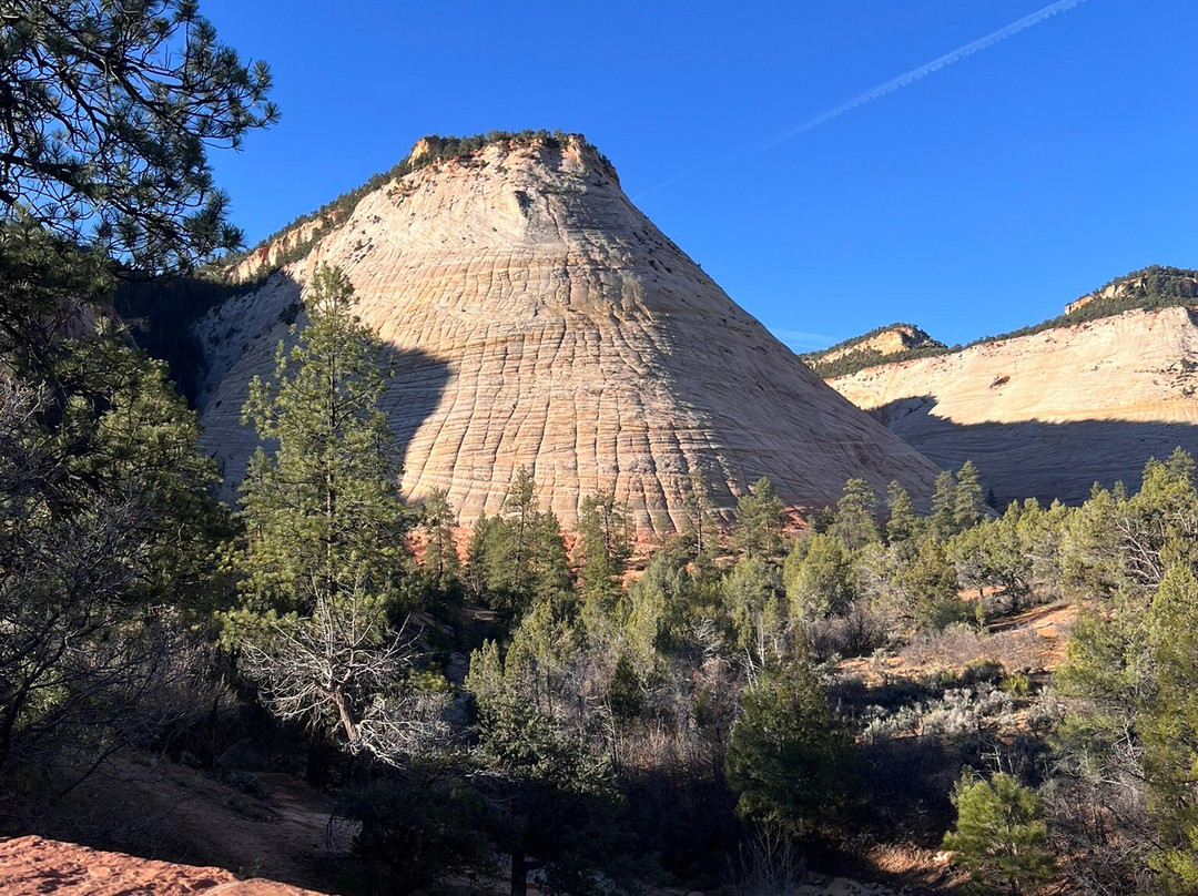 Checkerboard Mesa-锡安国家公园必去景点
