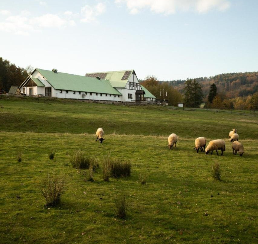 Resort Hvozd