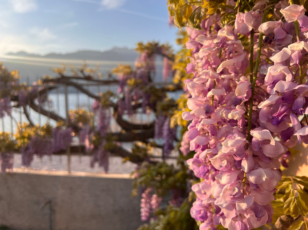 卡斯泰洛湖滨酒店主图