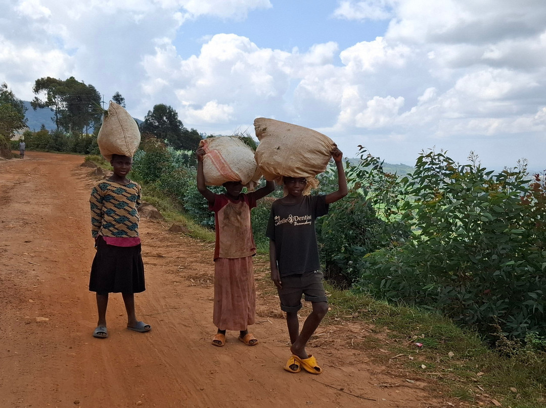 Kivu Travel-Goma必去景点