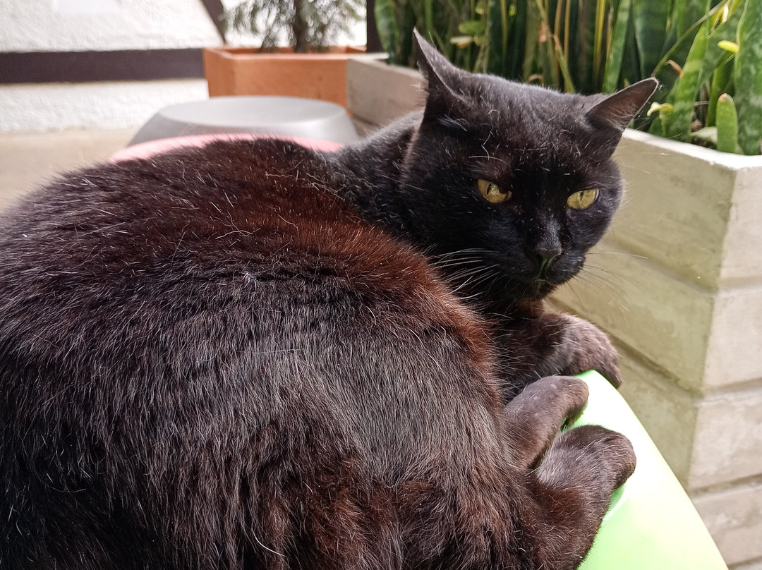 洛斯沃尔卡内斯温泉酒店主图