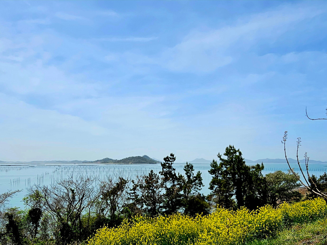 Purple Island-新安郡必去景点
