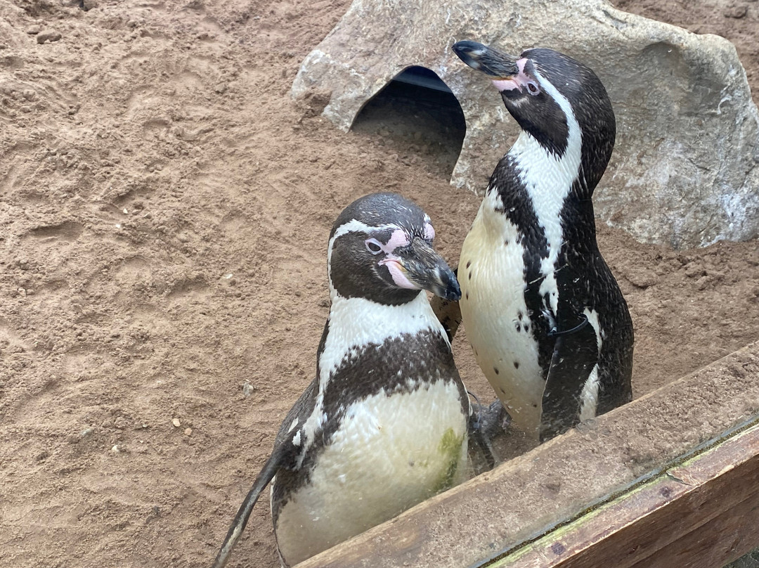 SEA LIFE Hunstanton-Hunstanton必去景点