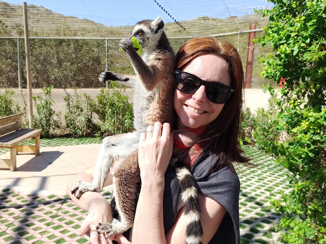 Farma of Rhodes Petting Zoo-罗德斯必去景点