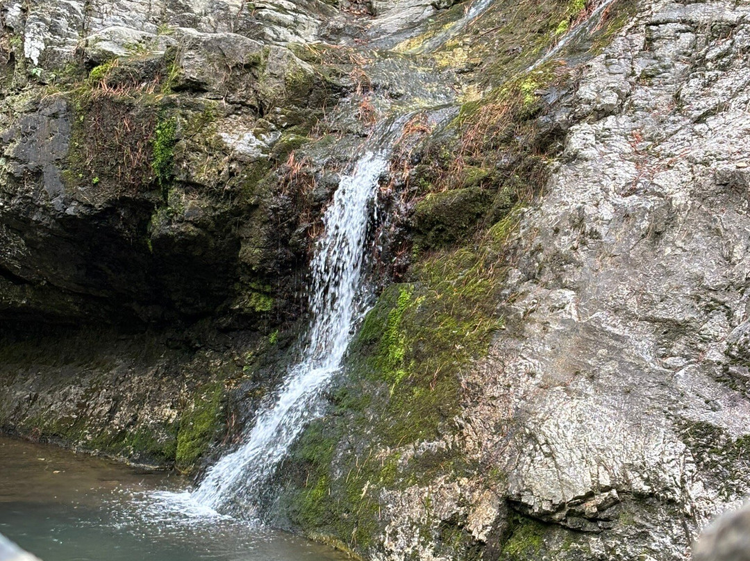 Lake Catherine State Park-温泉城必去景点