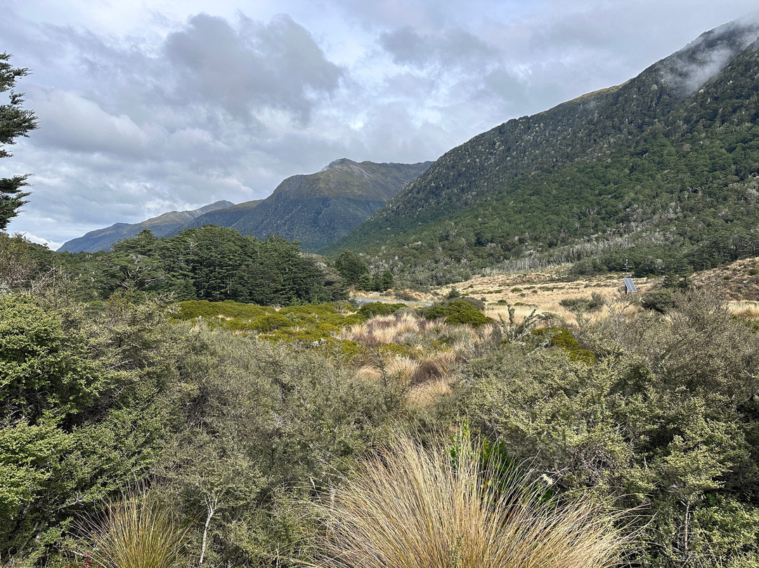 Alpine Nature Walk-Springs Junction必去景点