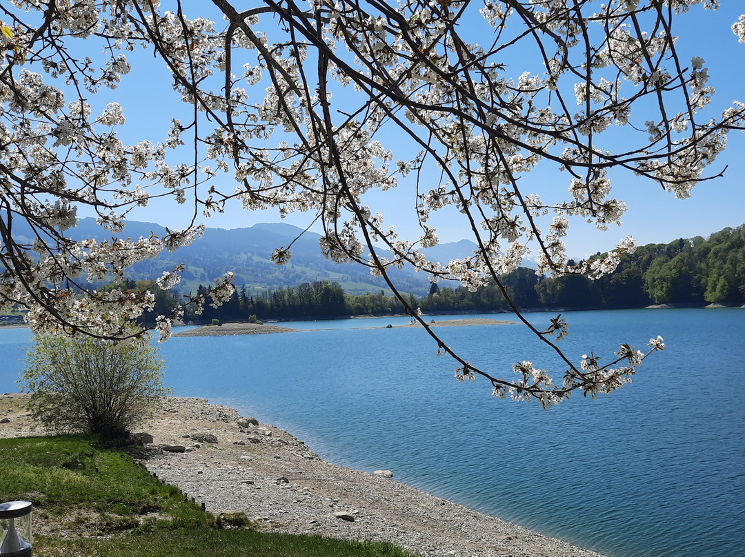 Ile d'Ogoz-Pont-en-Ogoz必去景点
