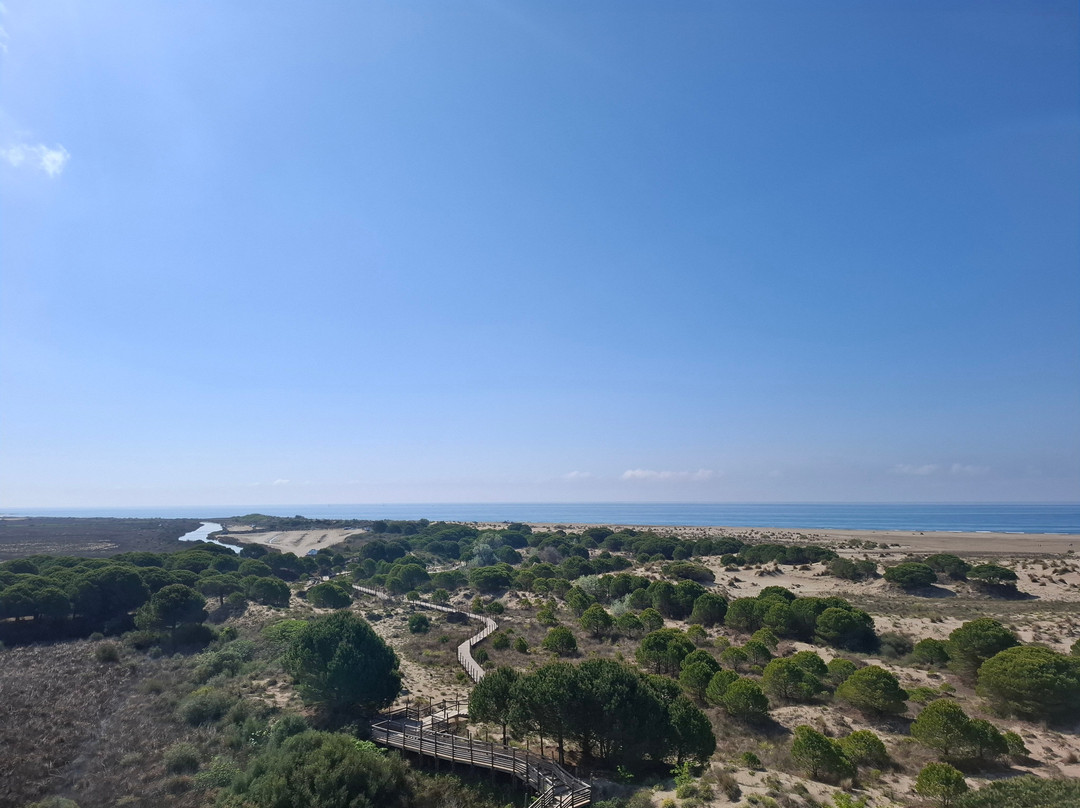 Phare de l'Espiguette-勒格罗迪鲁瓦必去景点