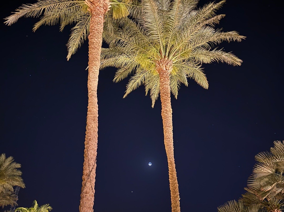Palm Royale Resort - Soma Bay