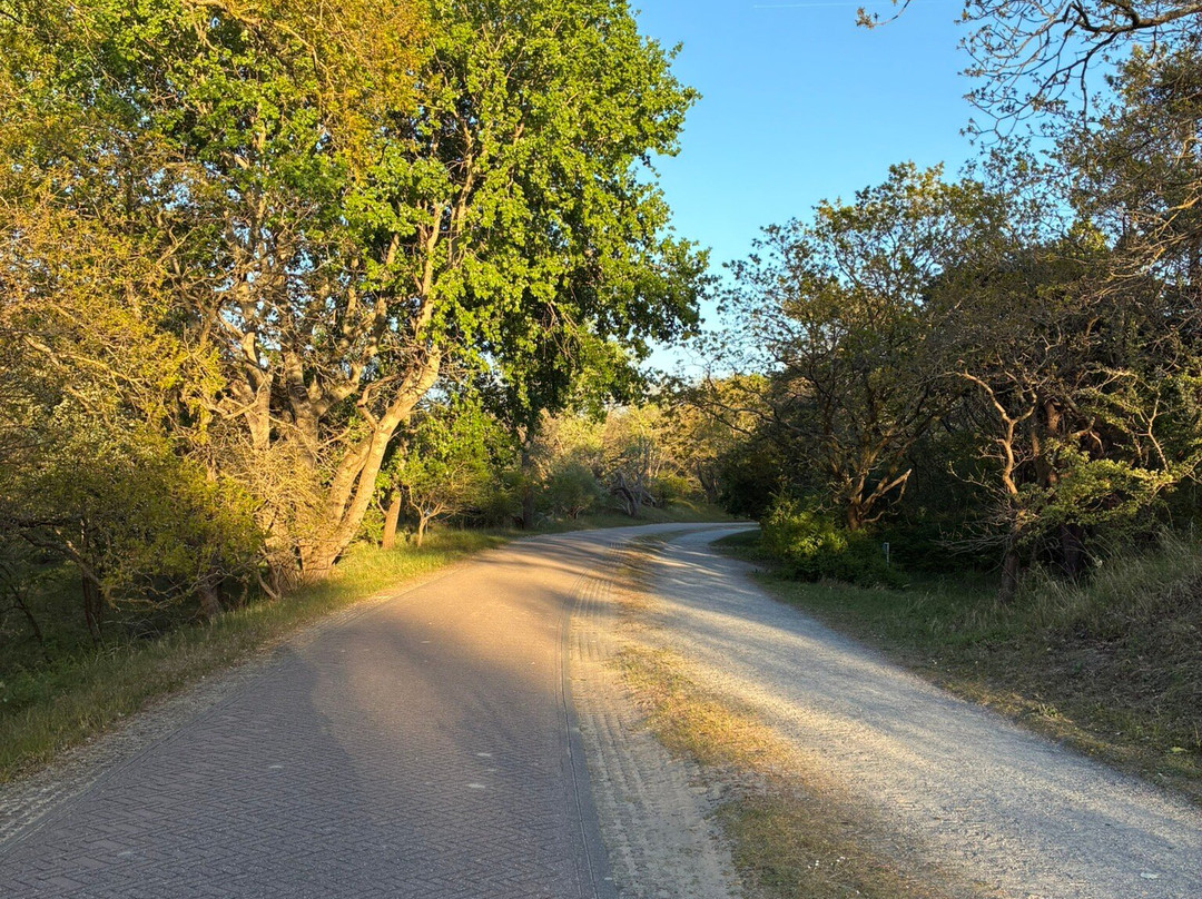 Duinreservaat Meijendel-Kievietsduin-Wassenaar必去景点