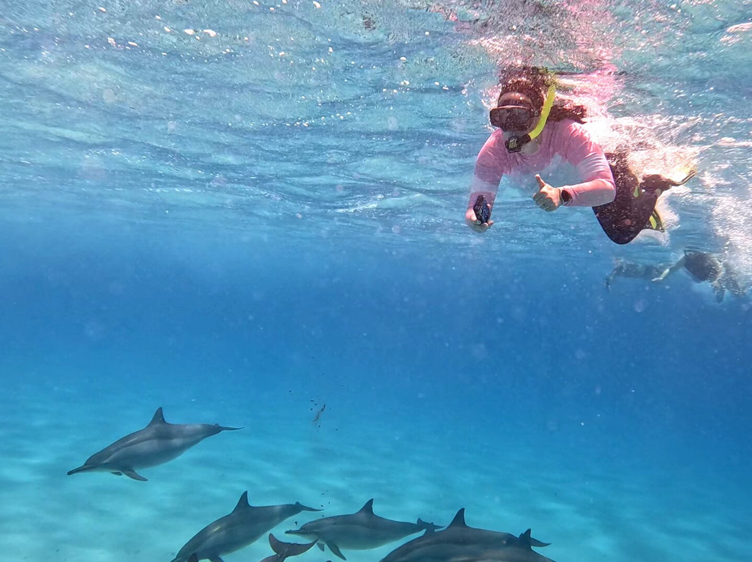 Marsa Alam Tours-马萨阿拉姆必去景点