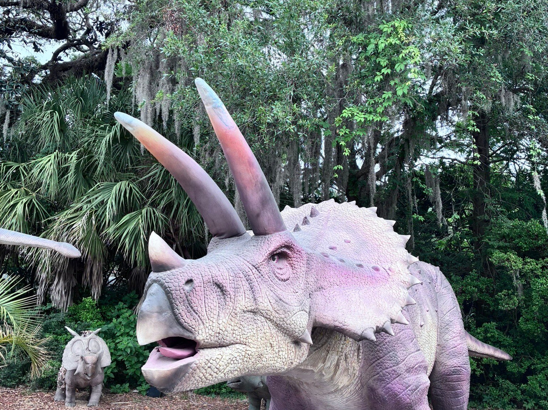 Jacksonville Zoo & Gardens-杰克逊维尔必去景点