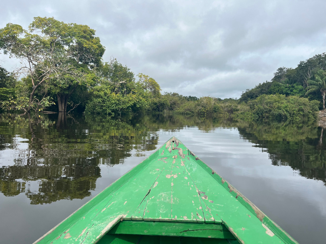 Amazon Green Tours-玛瑙斯必去景点
