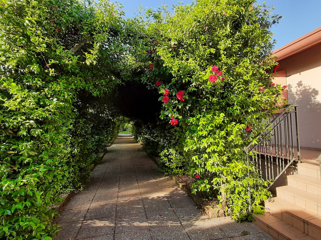 Agriturismo La Fredda主图