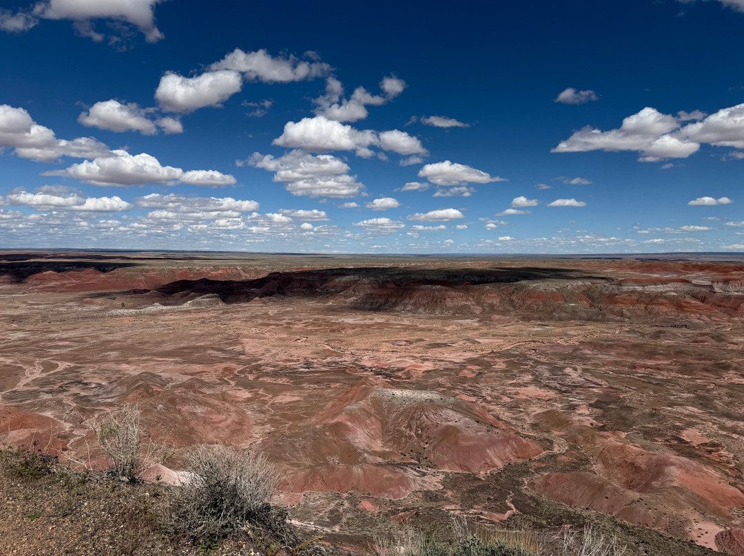 Painted Desert-石化林国家公园必去景点