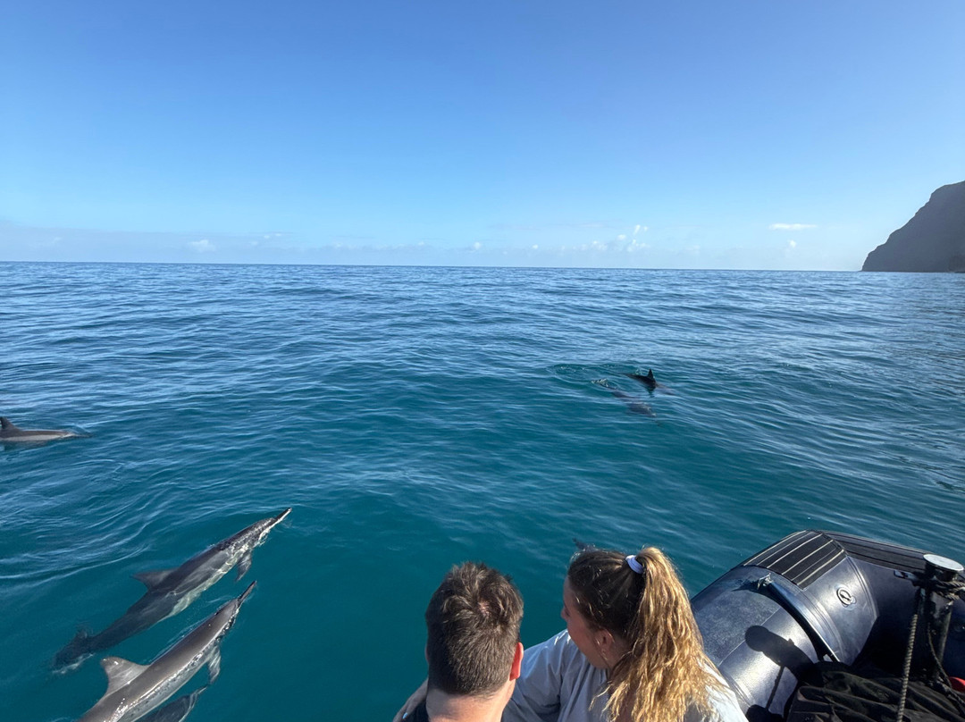 Blue Ocean Adventure Tours-科卡哈必去景点