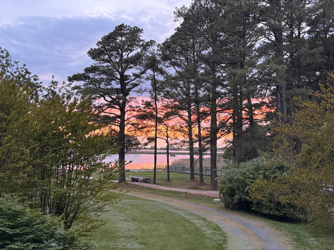 Spring Cove Manor