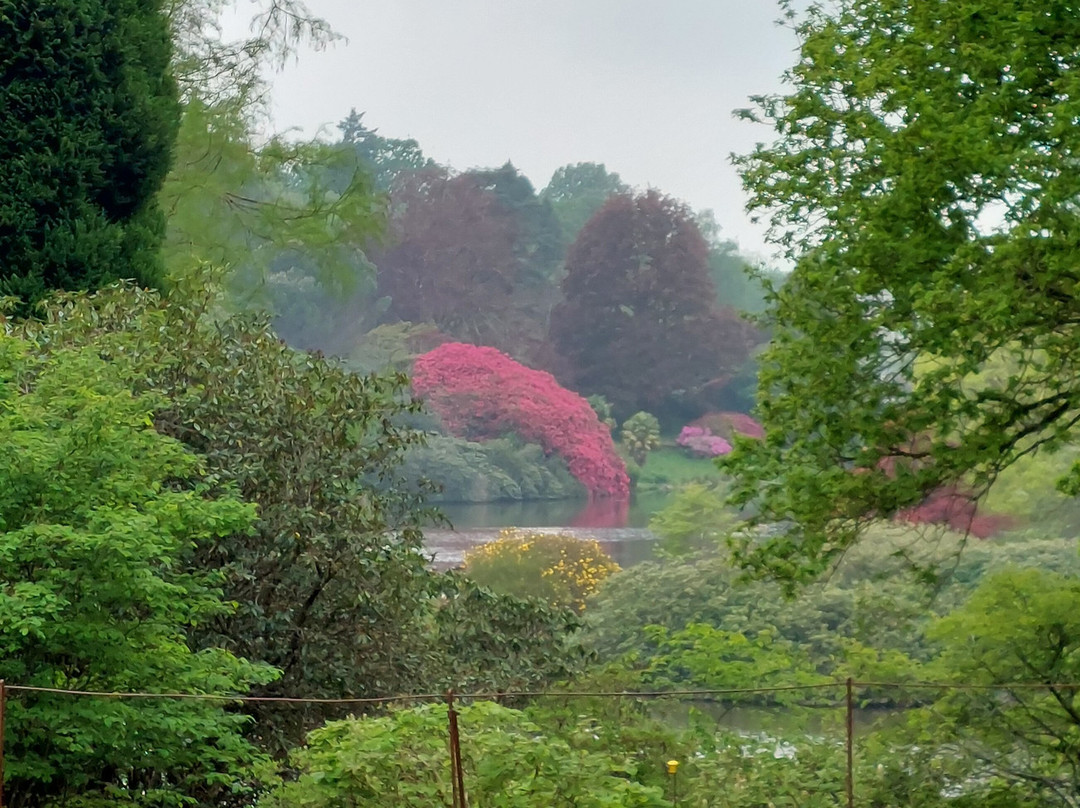 Sheffield Park And Garden-阿克菲尔德必去景点