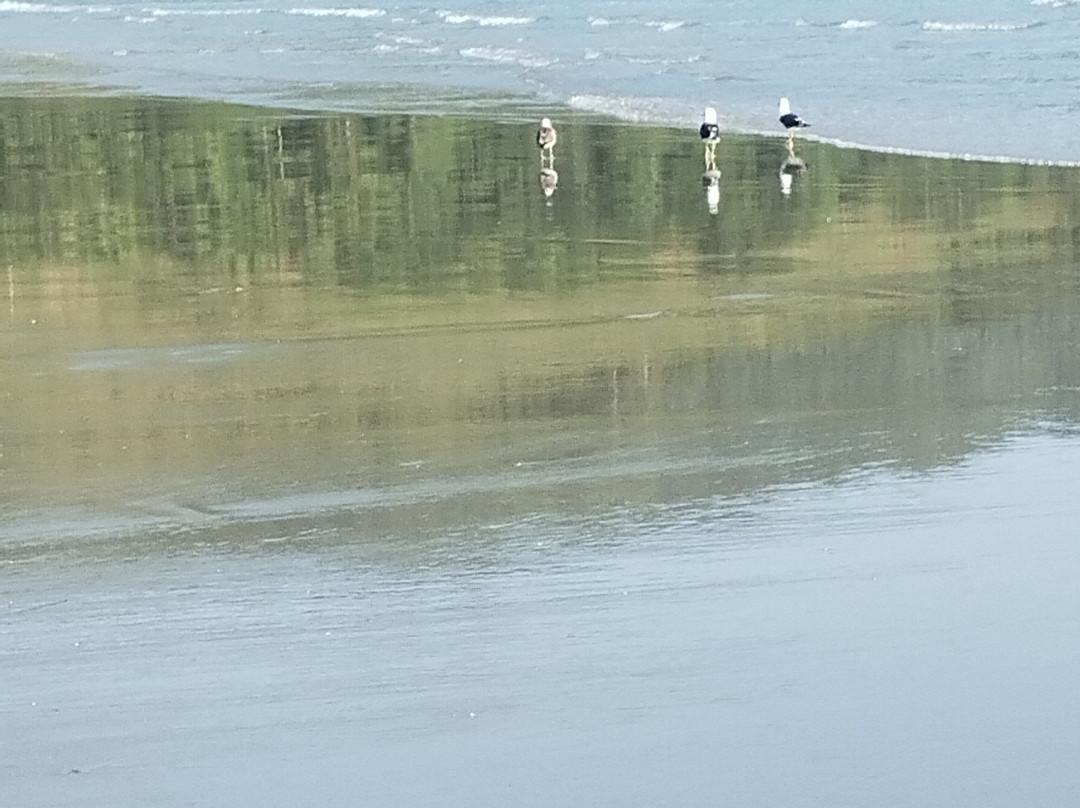 Fazenda Beach-乌巴图巴必去景点