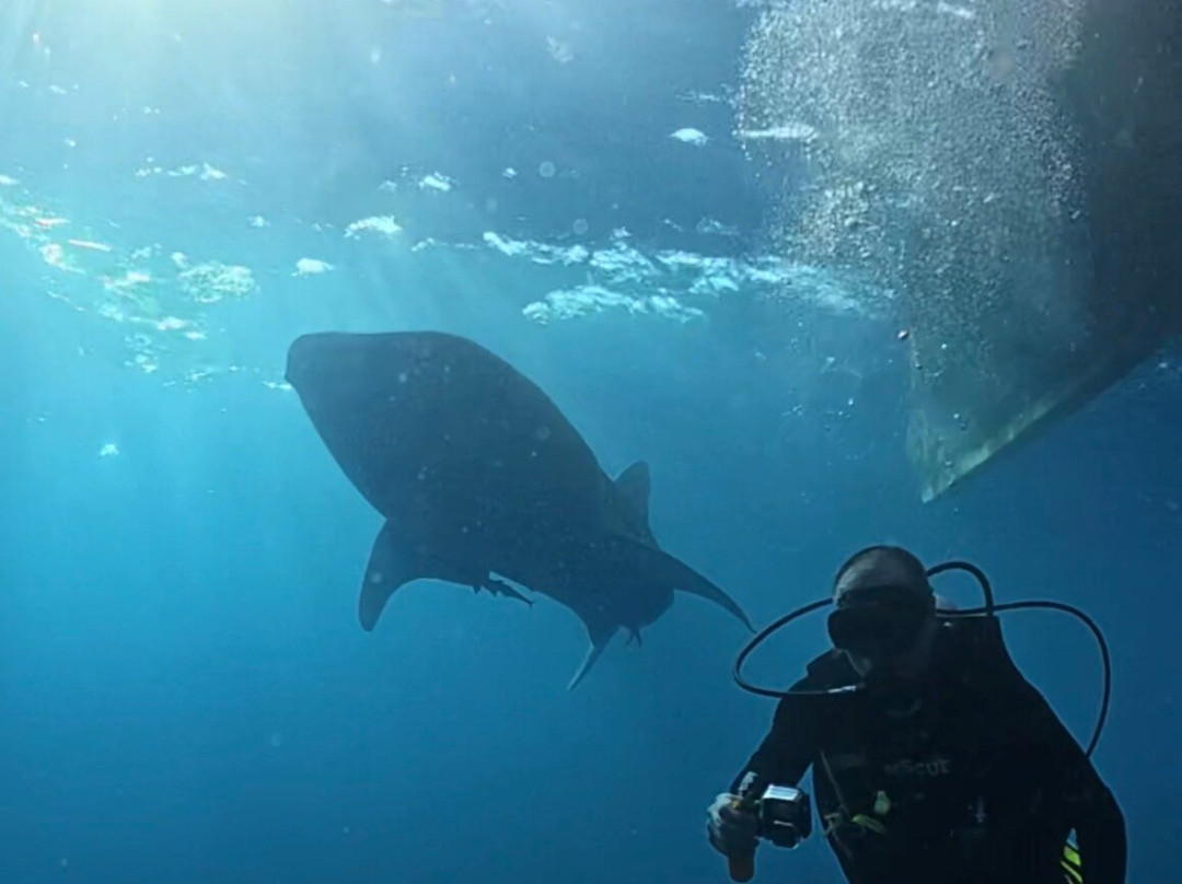 Sumbawa Holiday Tour-Sumbawa Besar必去景点