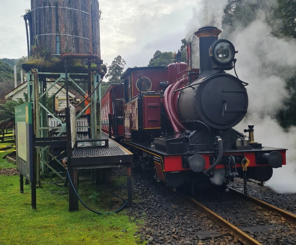 West Coast Wilderness Railway-皇后镇必去景点