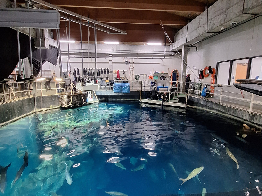 South Carolina Aquarium-查尔斯顿必去景点