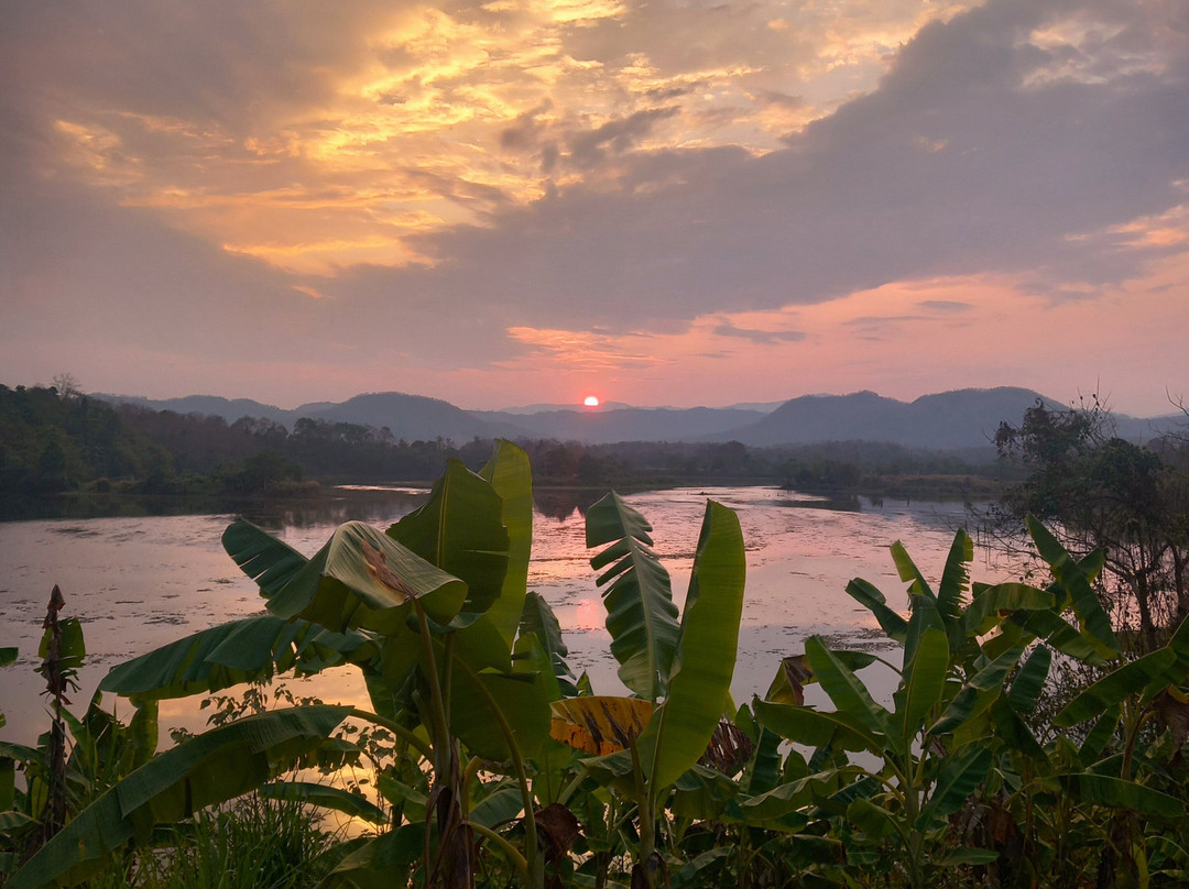 Elephant Conservation Center-Sayaboury必去景点