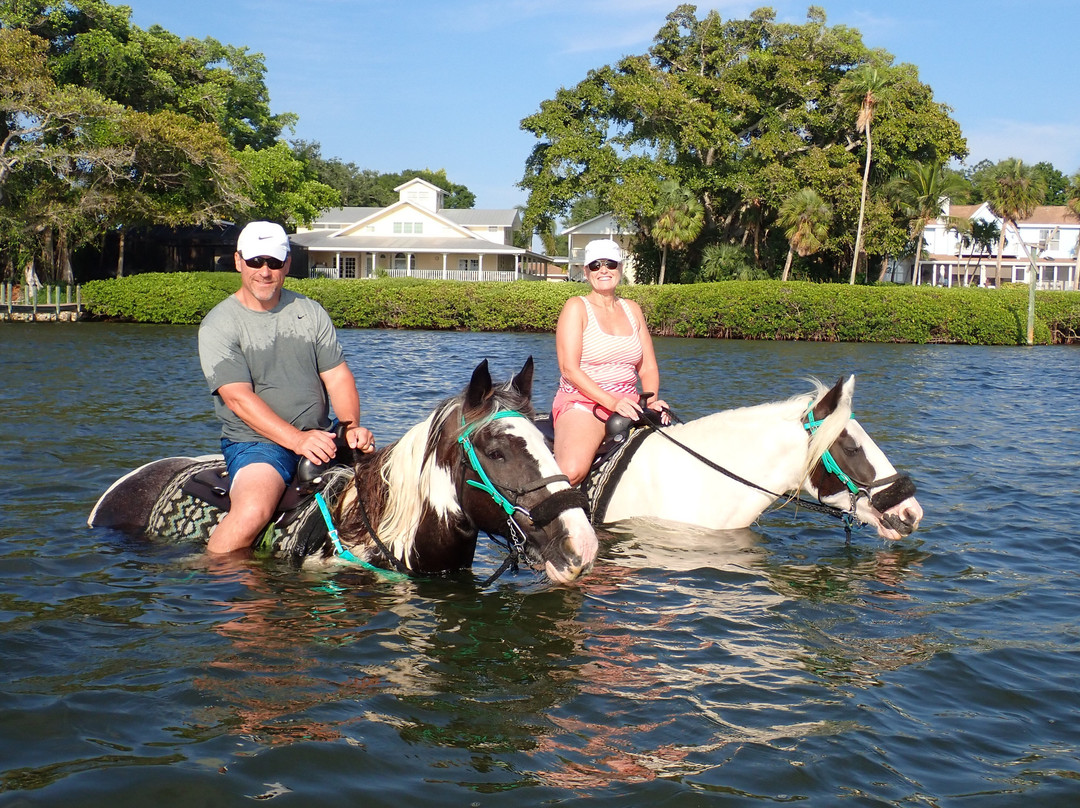 C Ponies Beach Horseback Rides-布雷登顿必去景点