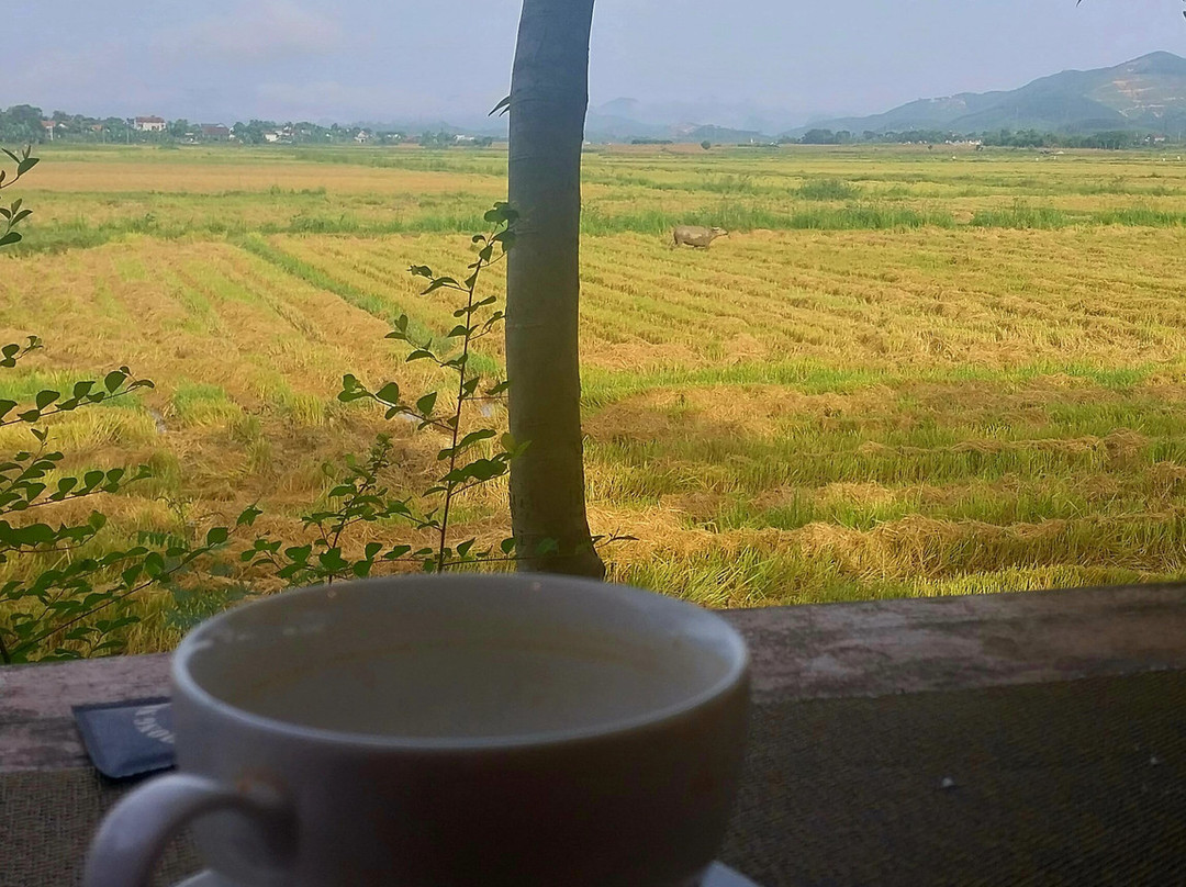 Phong Nha Farmstay主图