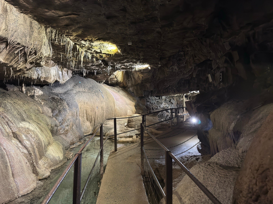 Ingleborough Cave-Clapham必去景点