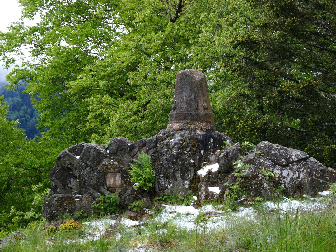 Historial franco-allemand du Hartmannswillerkopf-Wattwiller必去景点