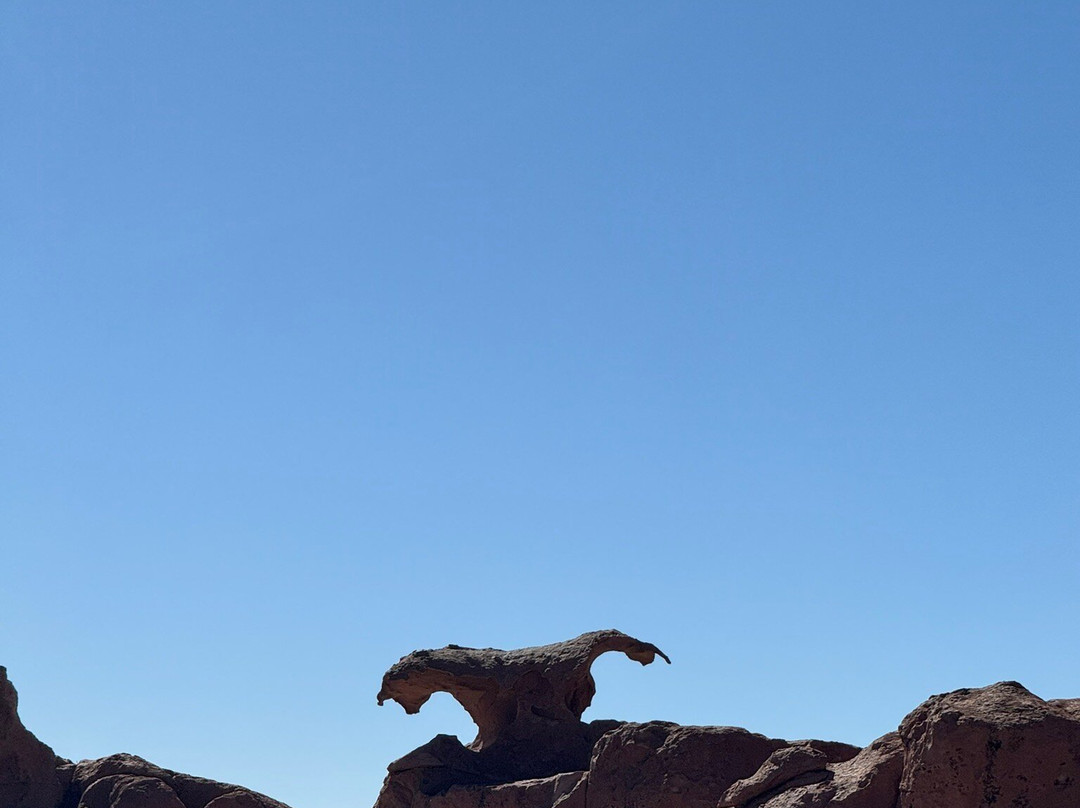 Eduardo Avaroa National Reserve of Andean Fauna-Potosi Department必去景点