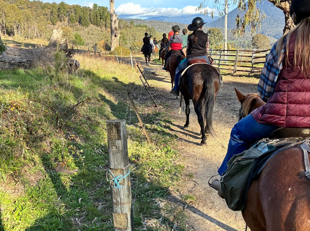 Bogong Horseback Adventures-Tawonga必去景点