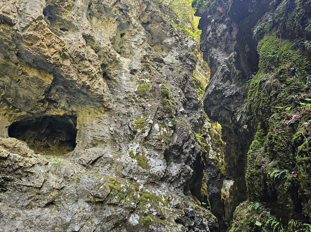 Canyon Rio Sass-Fondo必去景点