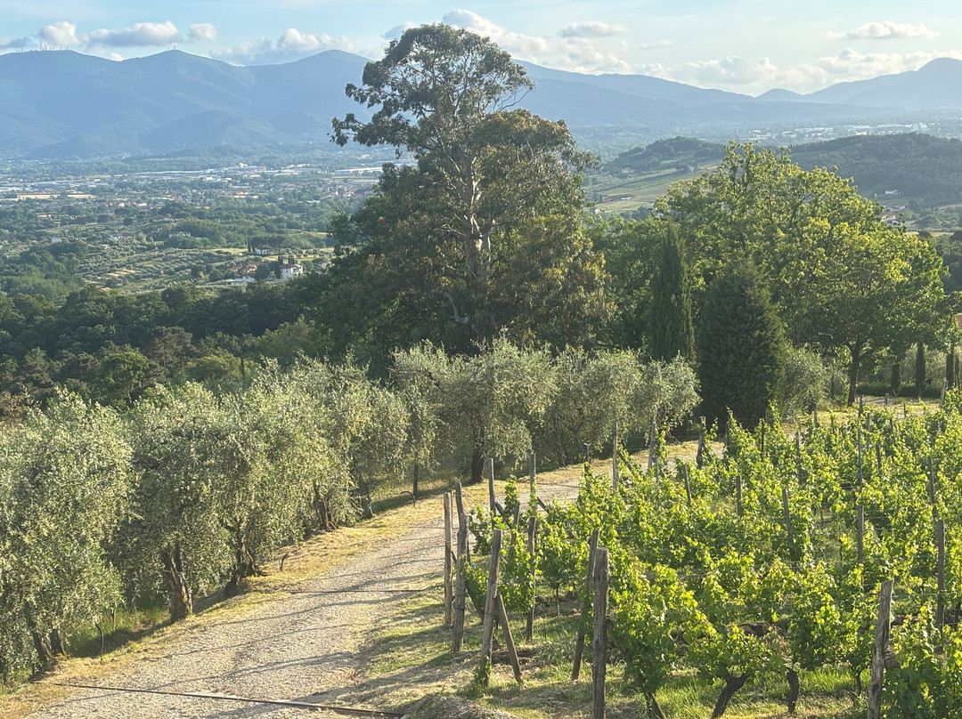 Lucca Cooking Classes-卢卡必去景点