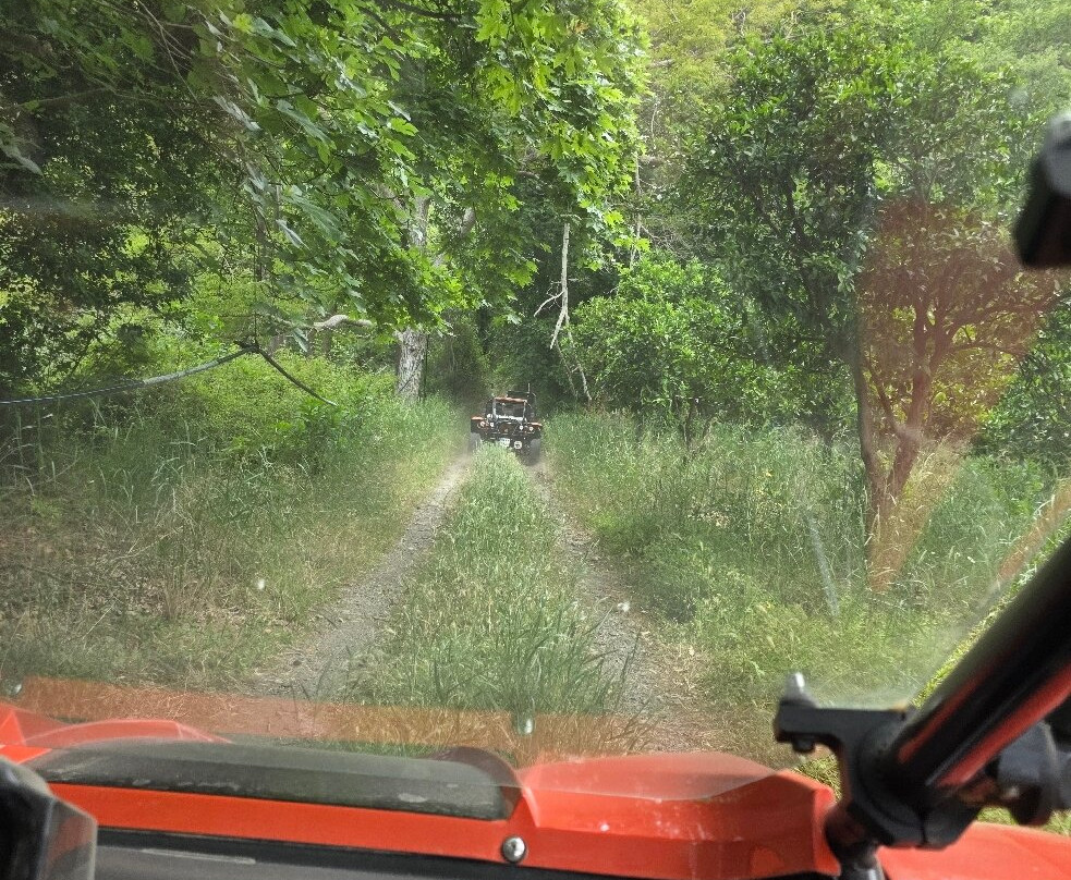 Chania Buggy Safari By Rock N Roll-Maleme必去景点