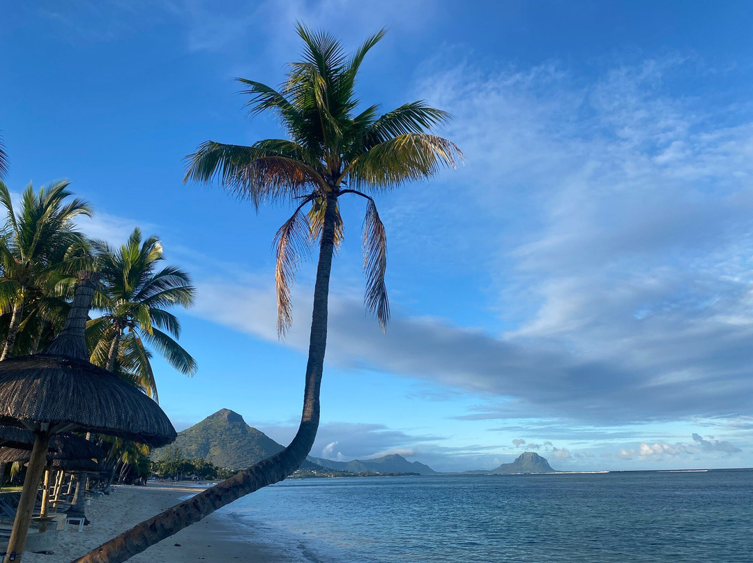 Taxi Mauritius Transfer-博巴森-荷津必去景点
