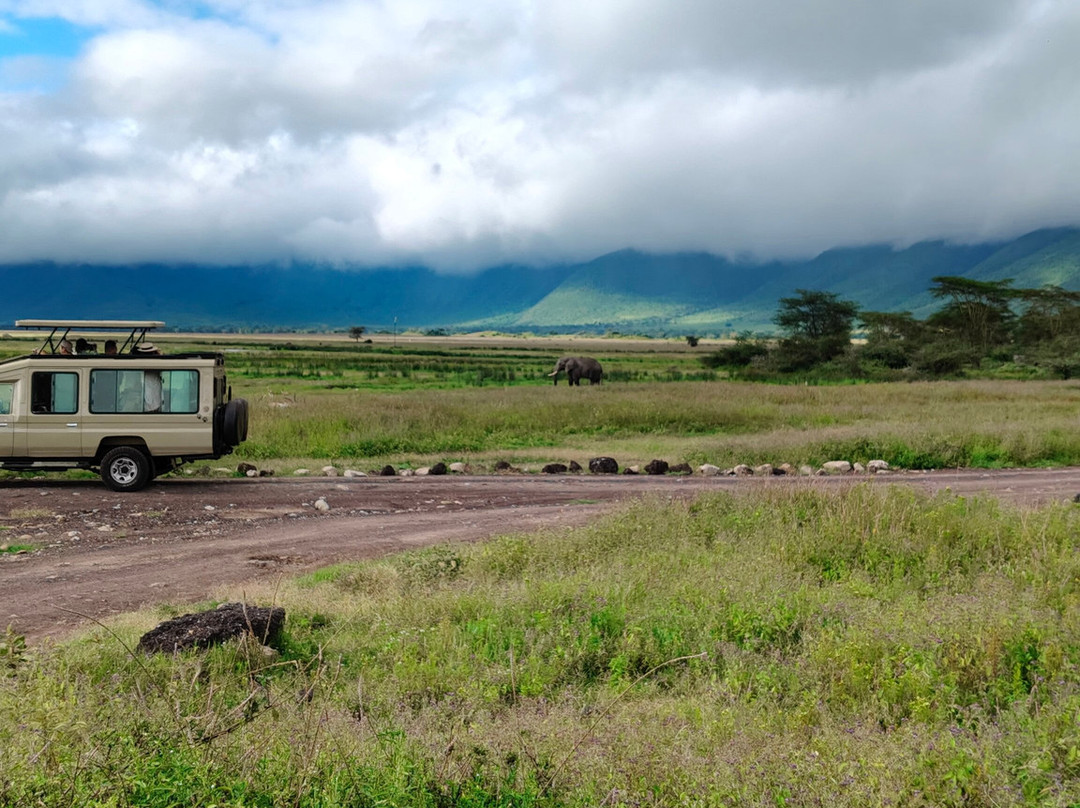 Ngorongoro Crater-恩戈罗恩戈罗保护区必去景点