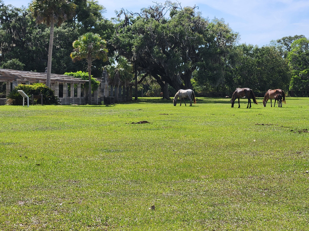 Cumberland Island National Seashore-St. Marys必去景点