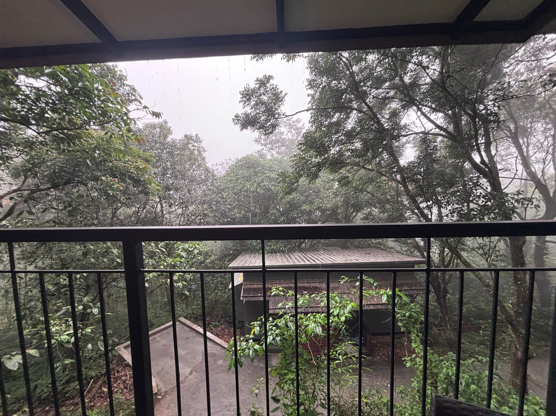 瓦亚纳德野外雨林旅馆-CGH地球酒店主图