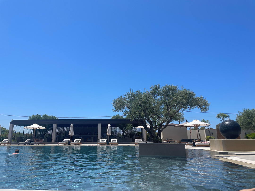 The Ritual, A Wellness Retreat