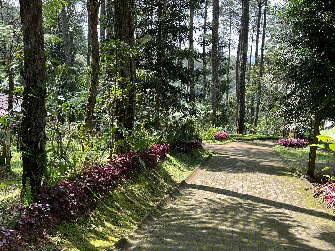 Orchid Forest Cikole-Cikole必去景点