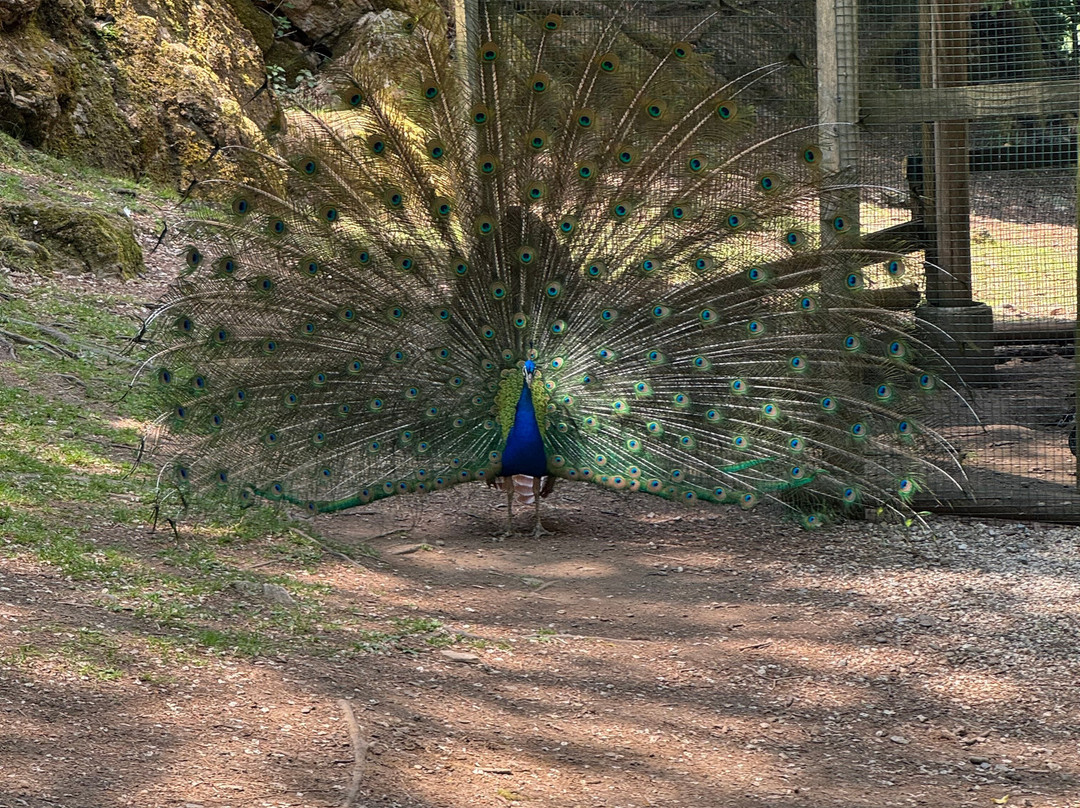 Tierpark Rosegg-Rosegg必去景点